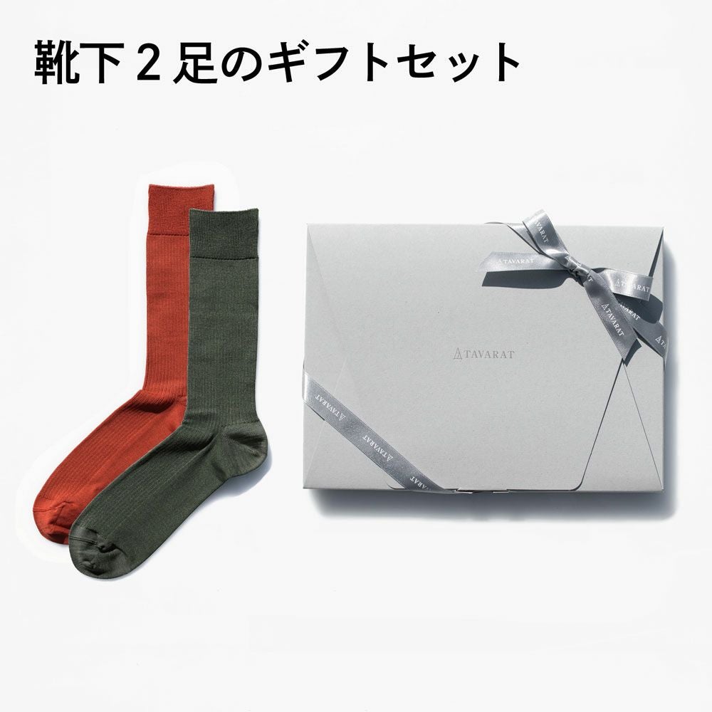 靴下2 ZX V2 SOCKS｜Japan official｜alpinestars アルパインスターズ