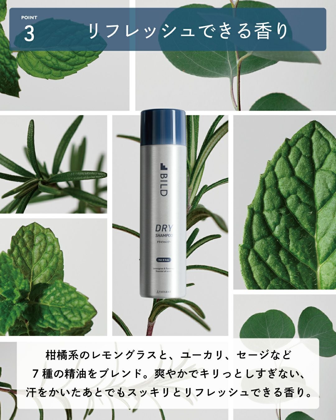 リフレッシュできる香り。 柑橘系のレモングラスと、ユーカリ、セージなど7種の精油をブレンド。爽やかでキリっとしすぎない、汗をかいたあとでもスッキリとリフレッシュできる香り。