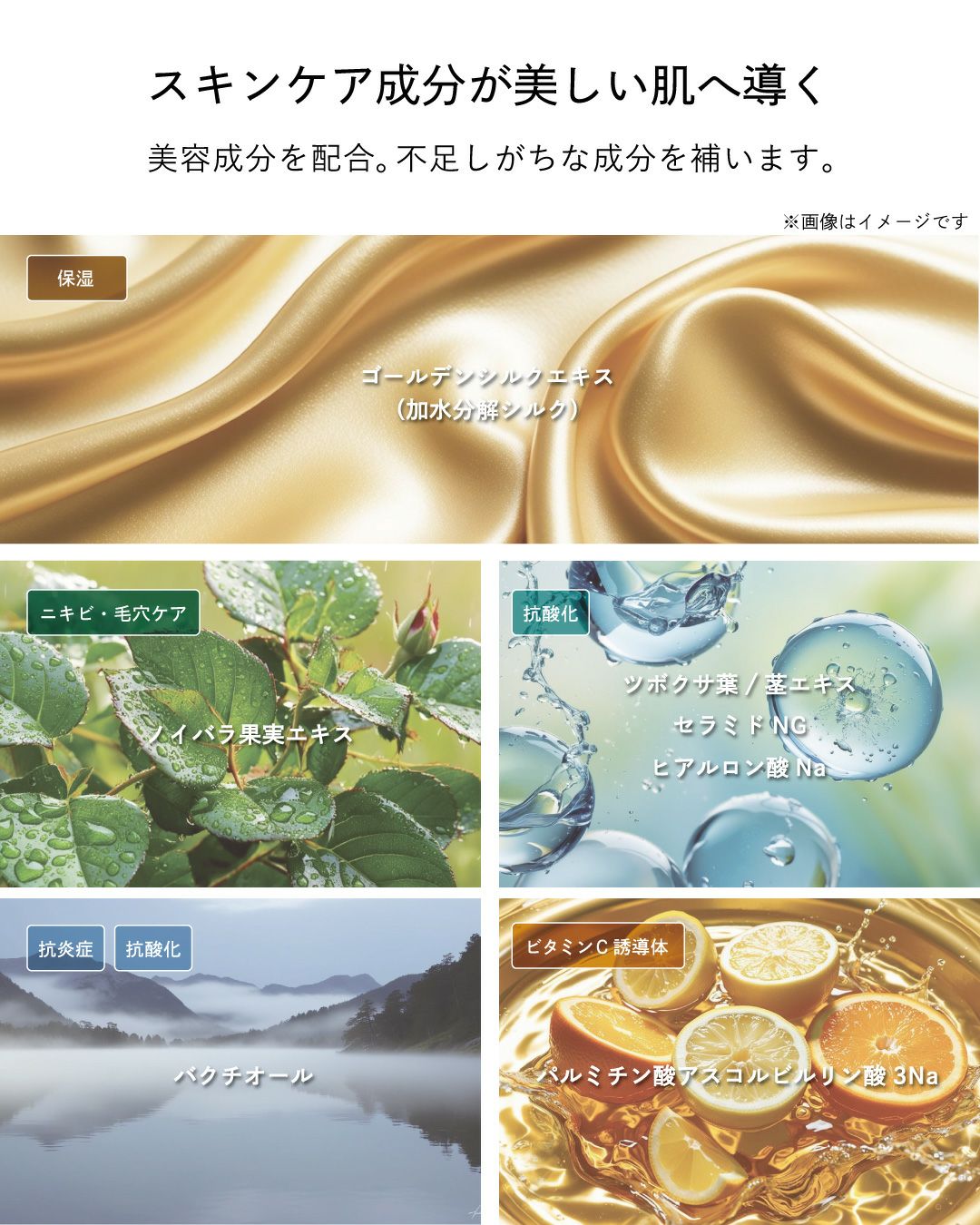 BILD フェイスパウダー 皮脂・テカリ対策 | TAVARAT公式オンラインストア