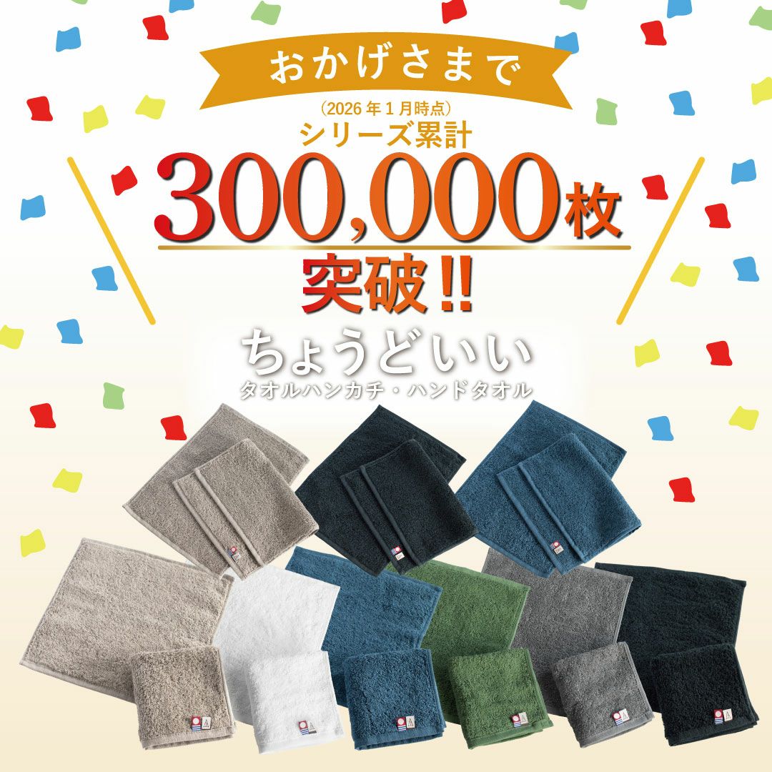 ちょうどいいタオルハンカチ 【3枚セット】 今治タオル ハンカチ 23cm