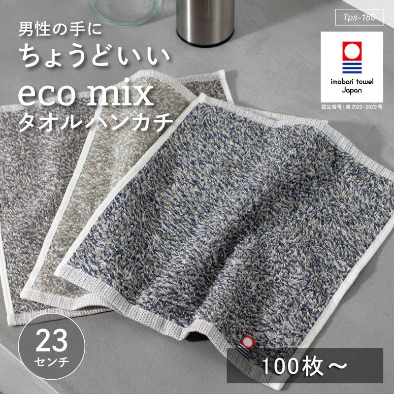 ecomix タオルハンカチ 3枚セット 今治タオル ハンカチ 23cm角 tps-188